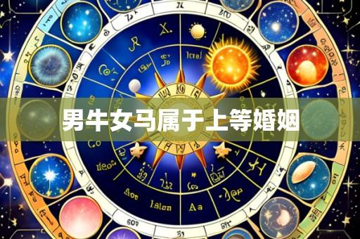 男牛女马属于上等婚姻