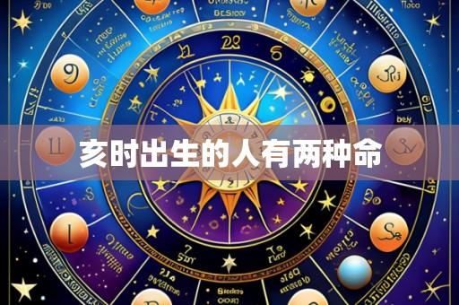 亥时出生的人有两种命