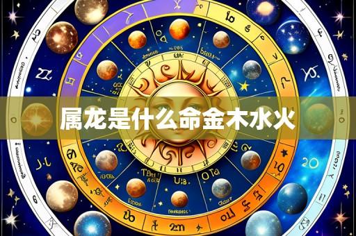 属龙是什么命金木水火