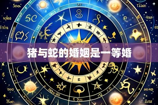 猪与蛇的婚姻是一等婚