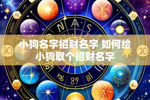 小狗名字招财名字 如何给小狗取个招财名字