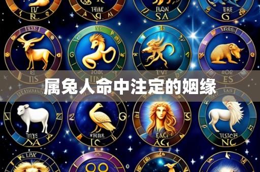 属兔人命中注定的姻缘