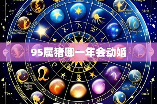95属猪哪一年会动婚