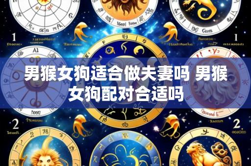 男猴女狗适合做夫妻吗 男猴女狗配对合适吗
