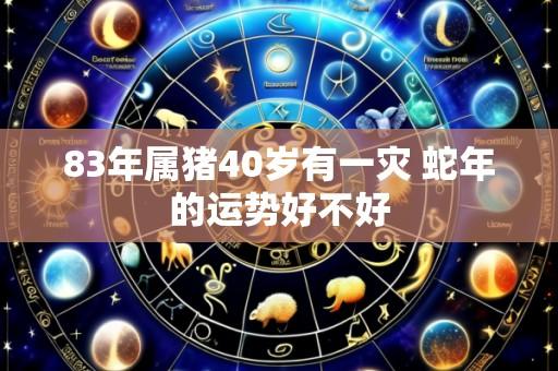 83年属猪40岁有一灾 蛇年的运势好不好