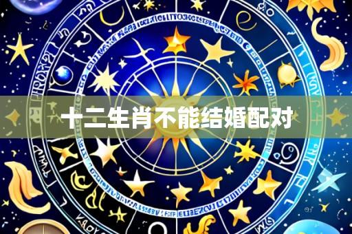 十二生肖不能结婚配对