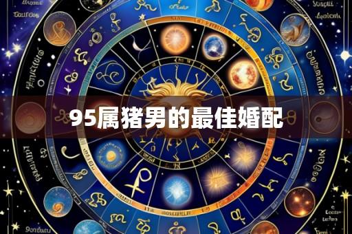 95属猪男的最佳婚配