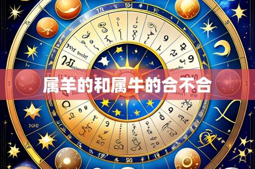 属羊的和属牛的合不合