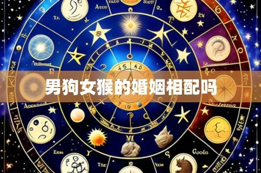 男狗女猴的婚姻相配吗