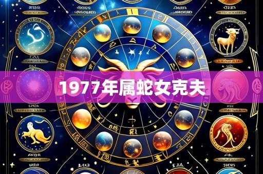 1977年属蛇女克夫