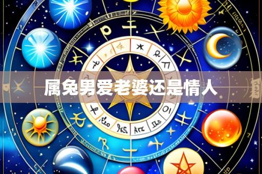 属兔男爱老婆还是情人