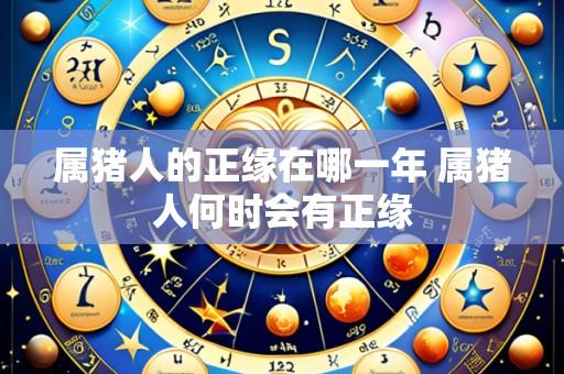 属猪人的正缘在哪一年 属猪人何时会有正缘