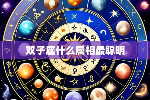 双子座什么属相最聪明