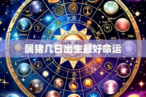 属猪几日出生最好命运