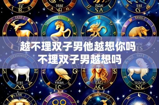 越不理双子男他越想你吗 不理双子男越想吗