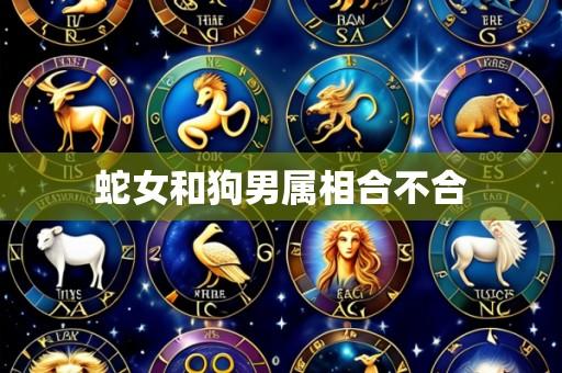 蛇女和狗男属相合不合