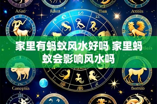 家里有蚂蚁风水好吗 家里蚂蚁会影响风水吗