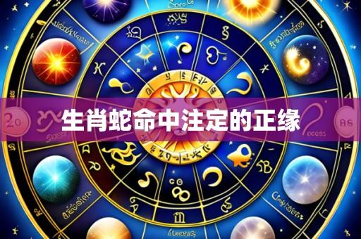 生肖蛇命中注定的正缘