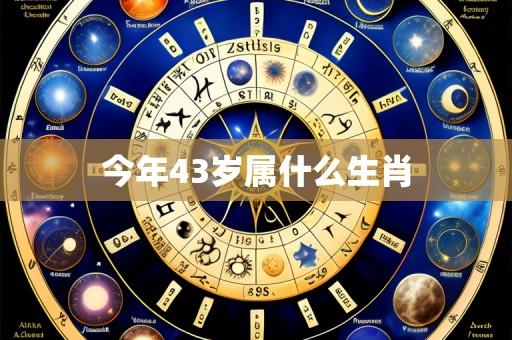 今年43岁属什么生肖
