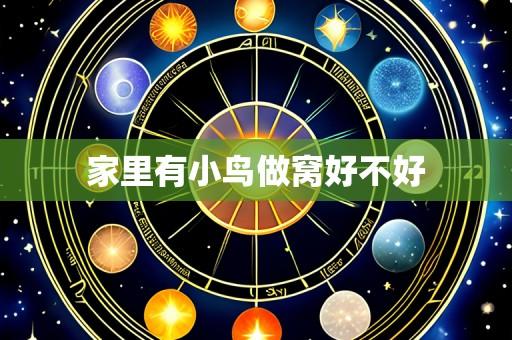 家里有小鸟做窝好不好