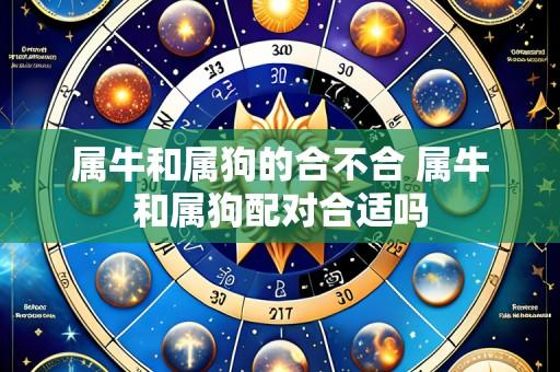 属牛和属狗的合不合 属牛和属狗配对合适吗