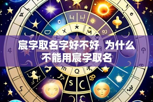 宸字取名字好不好 为什么不能用宸字取名