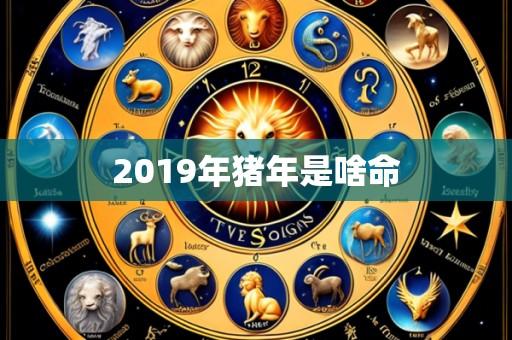 2019年猪年是啥命