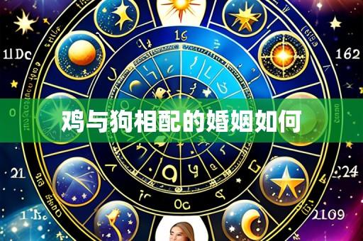 鸡与狗相配的婚姻如何