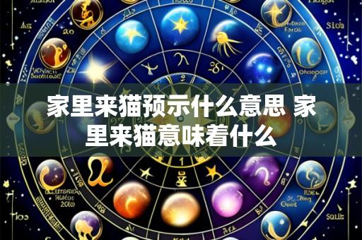 家里来猫预示什么意思 家里来猫意味着什么