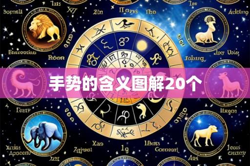 手势的含义图解20个