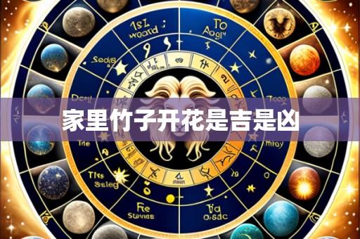 家里竹子开花是吉是凶