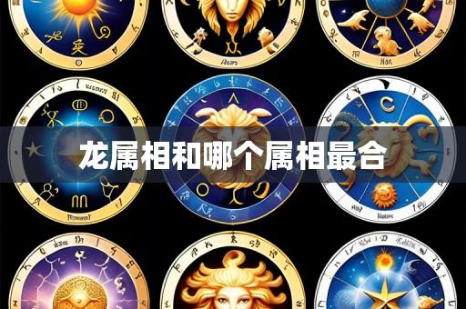 龙属相和哪个属相最合