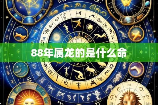 88年属龙的是什么命