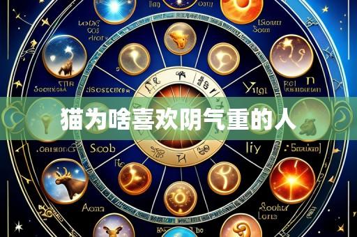 猫为啥喜欢阴气重的人