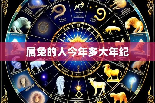 属兔的人今年多大年纪
