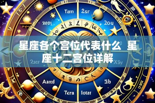 星座各个宫位代表什么 星座十二宫位详解