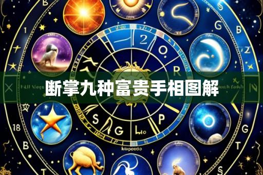 断掌九种富贵手相图解