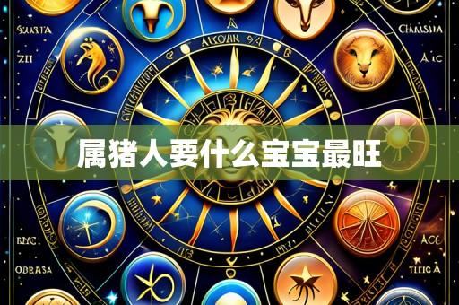 属猪人要什么宝宝最旺