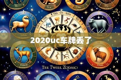 2020uc车牌丢了