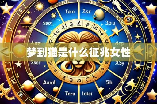 梦到猫是什么征兆女性