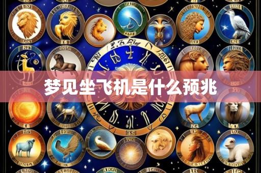 梦见坐飞机是什么预兆