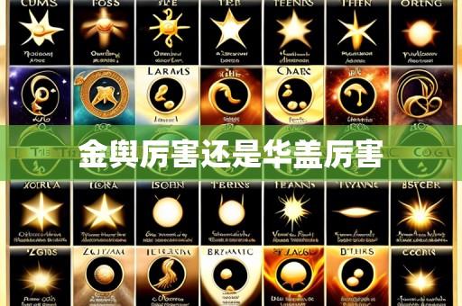 金舆厉害还是华盖厉害