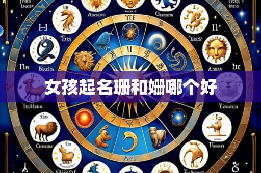 女孩起名珊和姗哪个好
