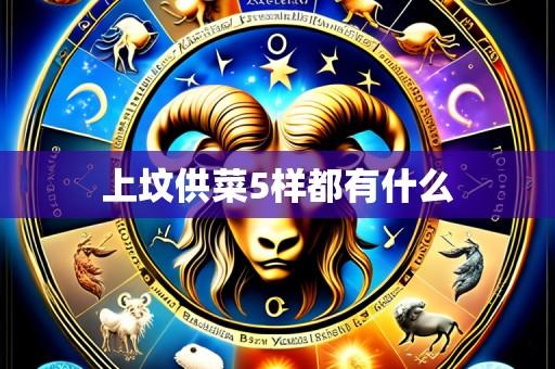 上坟供菜5样都有什么