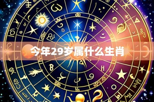 今年29岁属什么生肖
