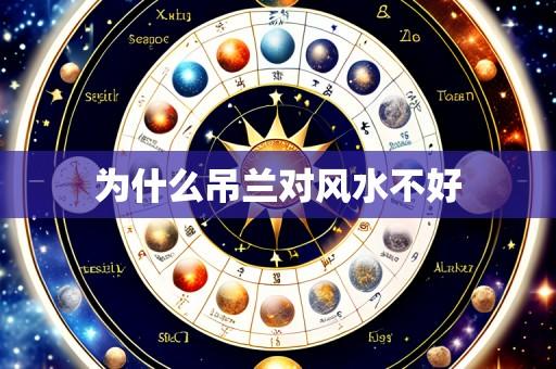 为什么吊兰对风水不好