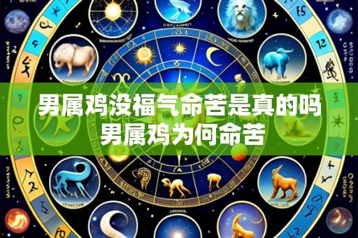 男属鸡没福气命苦是真的吗 男属鸡为何命苦