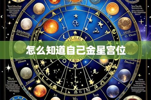 怎么知道自己金星宫位