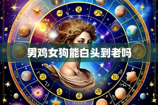 男鸡女狗能白头到老吗