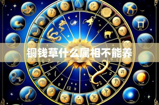 铜钱草什么属相不能养